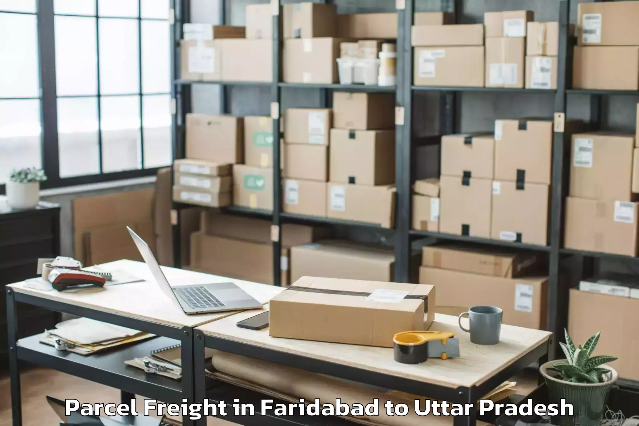 Easy Faridabad to Sherkot Parcel Freight Booking